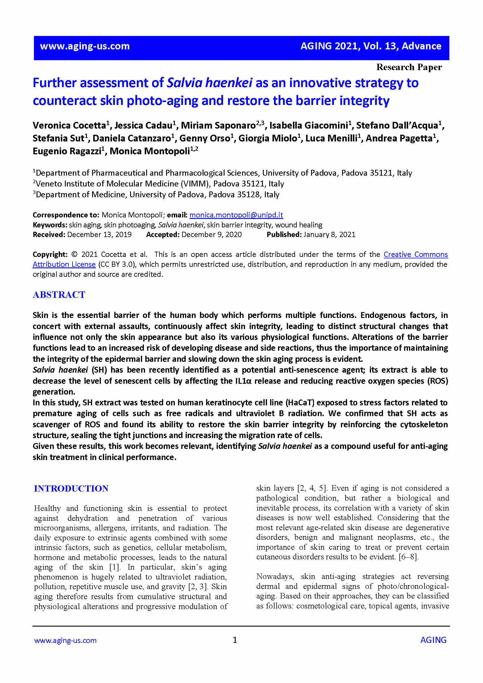 Microsoft Word Salvia Haenkei pubblicazione