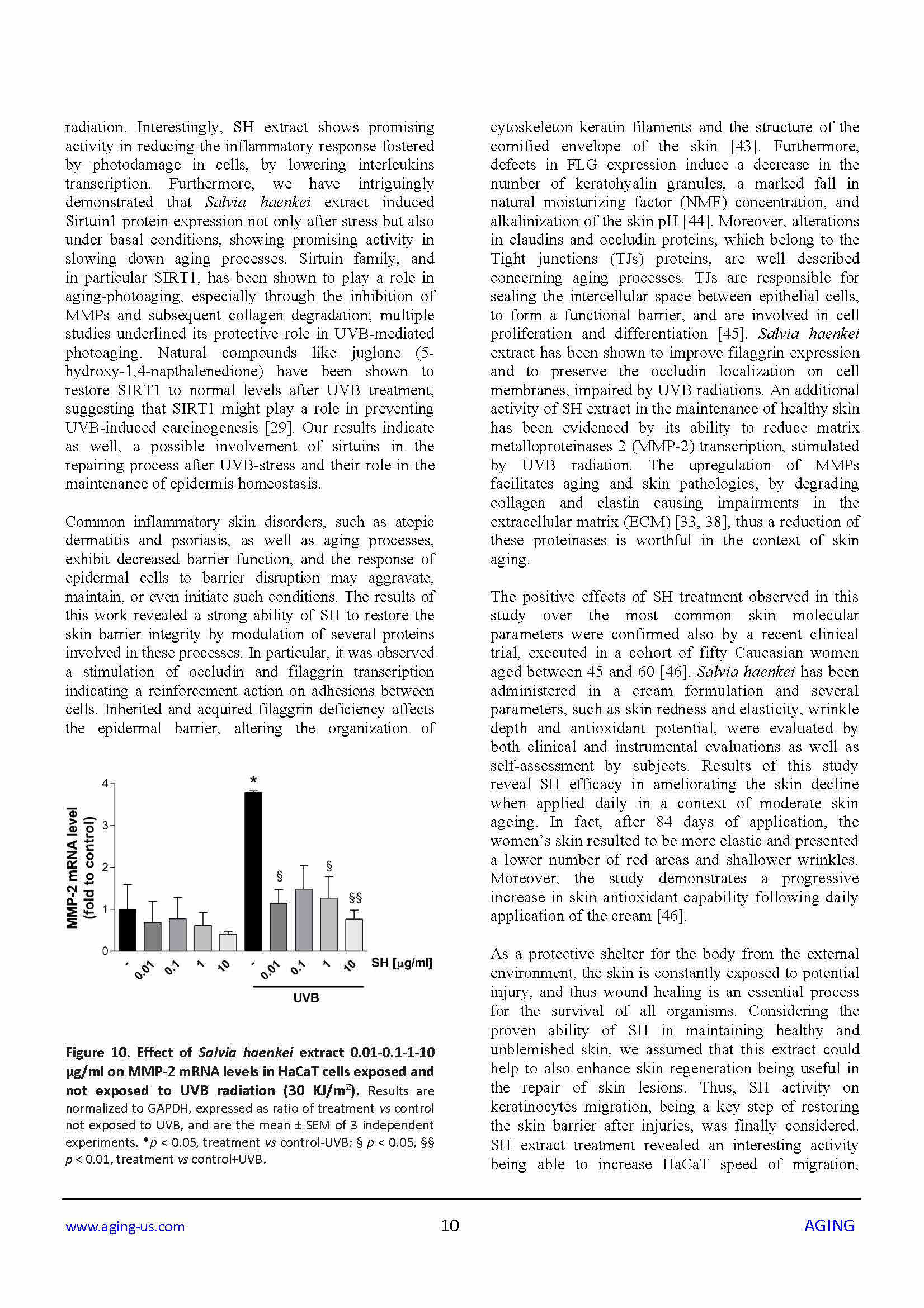 Microsoft Word Salvia Haenkei pubblicazione 11