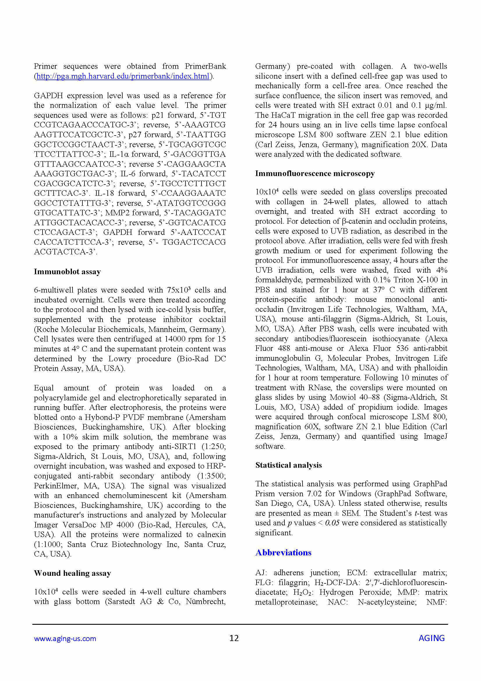 Microsoft Word Salvia Haenkei pubblicazione 13